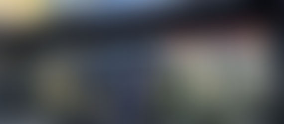 Handelsblatt interview in Frankfurt