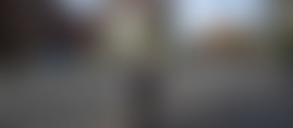 Urban Land Institute Summer Celebration in Hamburg