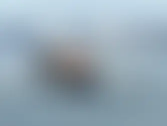 Baltimore Bridge Collapse