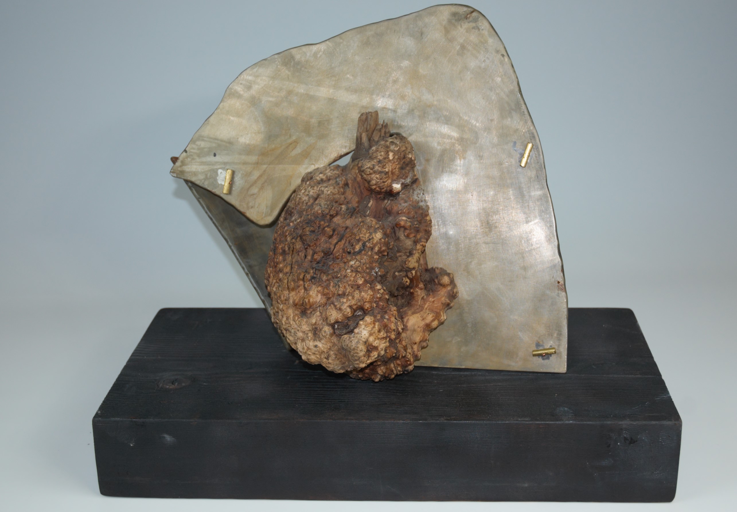 Untitled (nature)