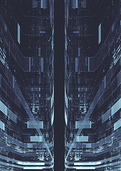 capsule.png