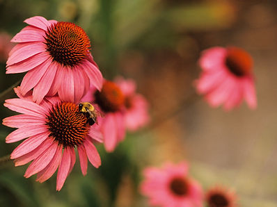 counseling in Bedford, Texas, mother, daughter workshop