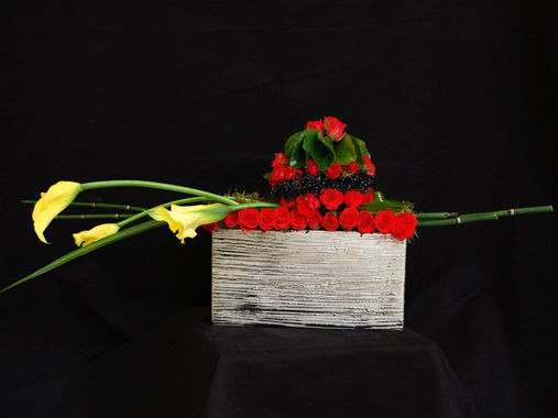 Miniature : FEU FOLLET