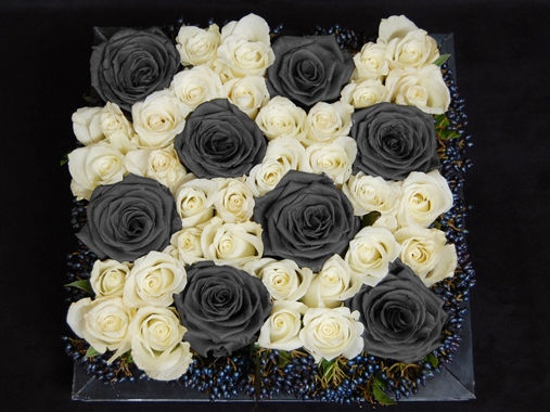 Miniature : LE DAMIER