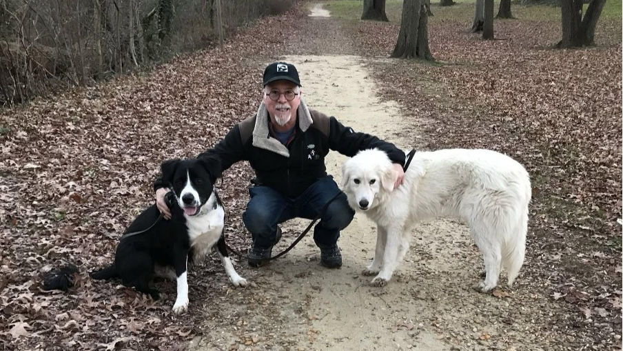 Man crouches on a leaf-covered forest path with a black-and-white dog and a white dog, both calm.