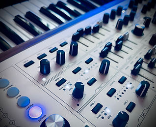 Photo du Polybrute