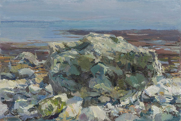 Tom Benjamin 1237 Spring at Hope Gap 2020 8x12in oil on board.jpg