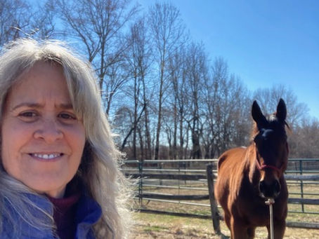 What Horses Can Teach Us About Leadership