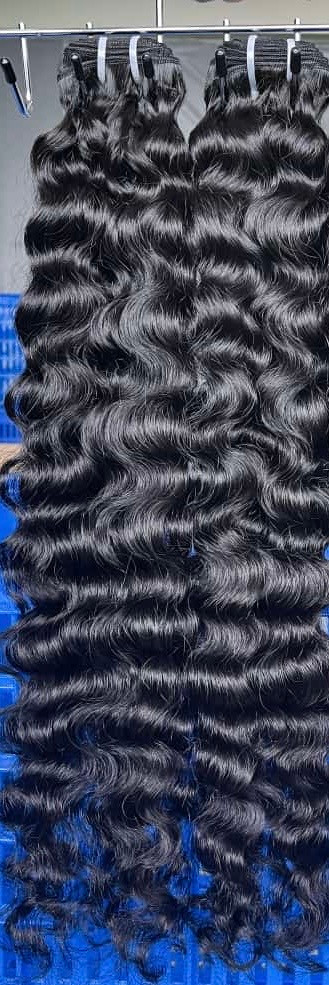 BURMESE CURLY BUNDLE DEAL