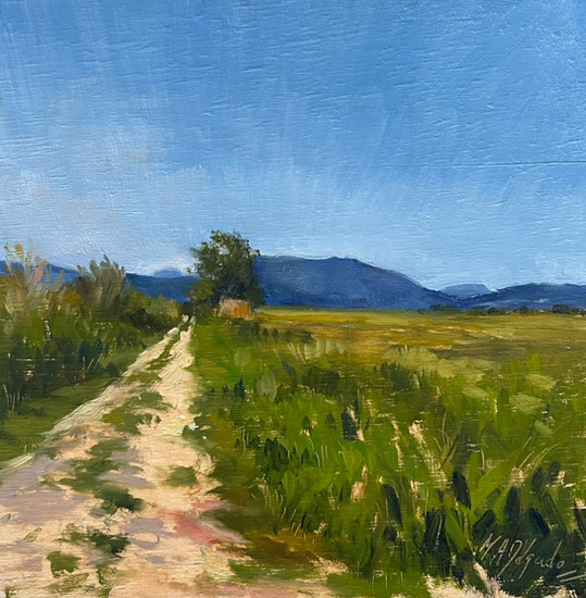 Miguel Angel Delgado