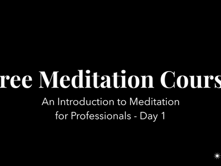Learn to Meditate: A 7 Day Introduction to Meditation for Professionals