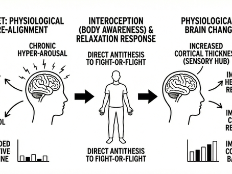 Learning to Meditate is Easy. So Why Does Everyone Struggle so Much?