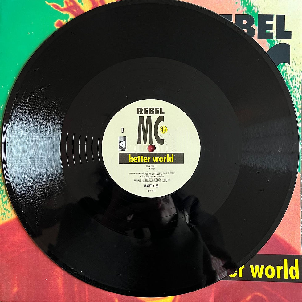 Thumbnail: Rebel MC, Better World (12")