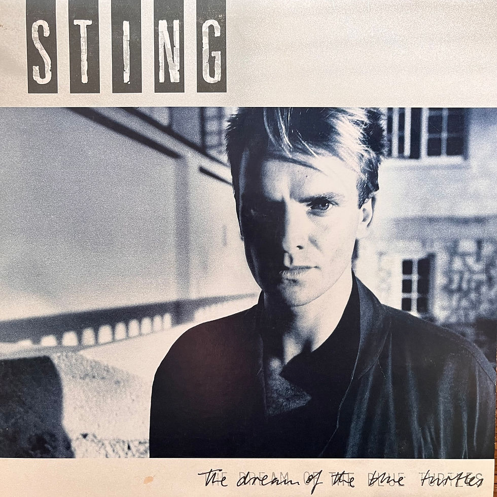 Sting, The Dream of the Blue Turtle
