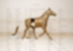 Horse with Names.jpg