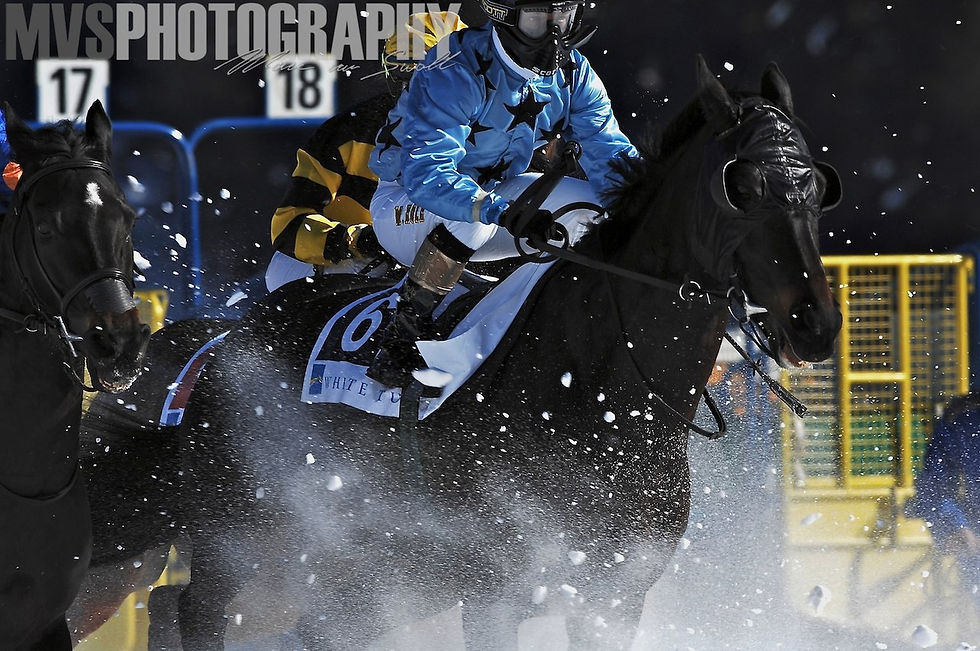 SSC_0045 - Version 2.jpg