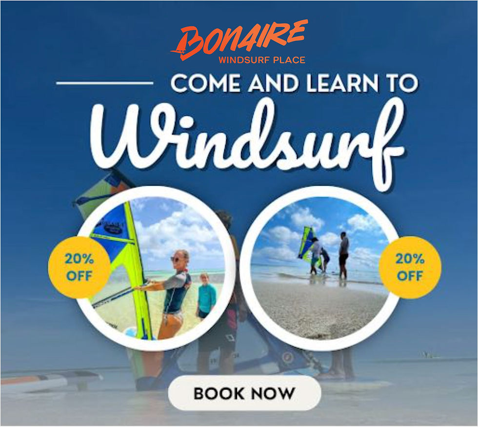 BWP Lessons Ad 20%.jpg