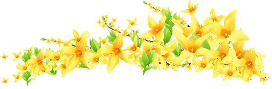 Yellow%20Flowers%20(without%20stems)_edi