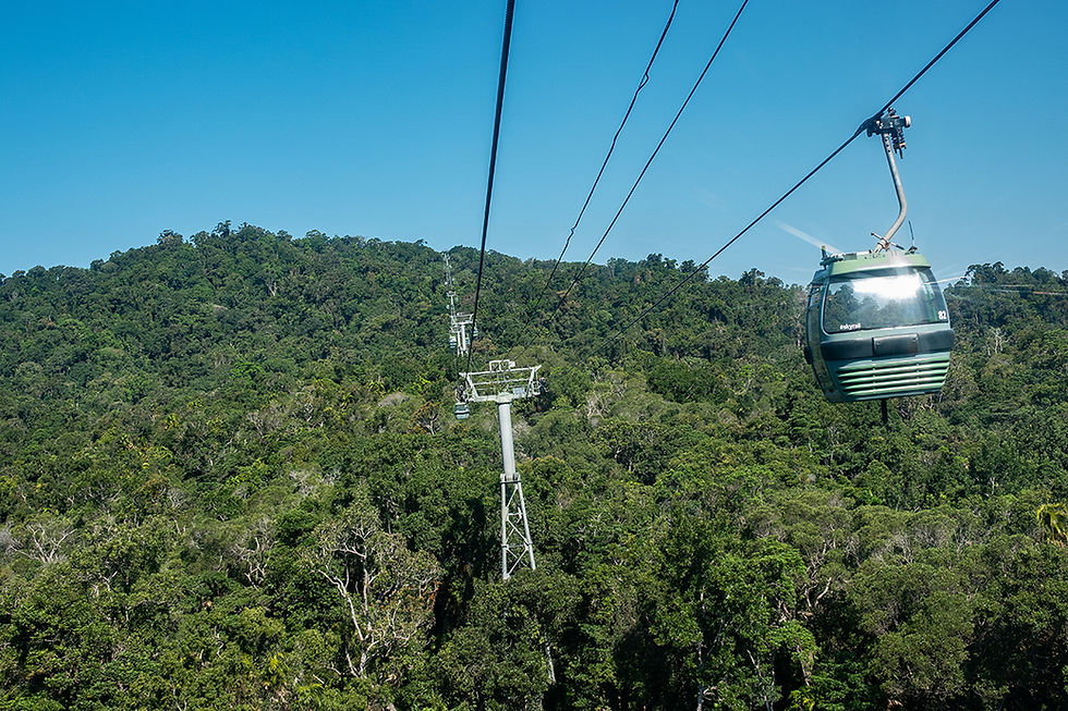 The Skyrail Rainforest Cableway offers ocean-view gondola rides above a tropical rainforest. We took the skyrail down from Kuranda and back to Cairns.The ride was half the time of the train ride up