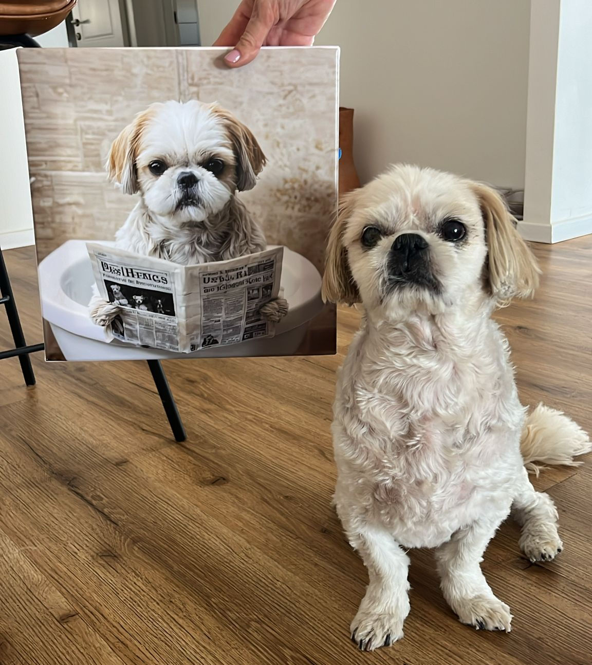 🚽קנבס שירותים