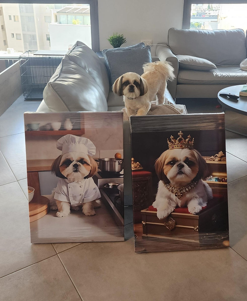 תמונה ממוזערת: 👑קנבס מלכותי 