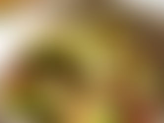 Brussel Sprouts Sage Bacon Quinoa & Rice Salad