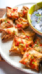 Salmon Ginger Dumplings with Pineapple Aminos Sauce