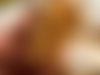 Lemon Crinkle Cookies