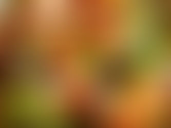 Butternut Squash Brussel Feta Walnut Salad