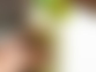 Kiwi Vanilla Milkshake