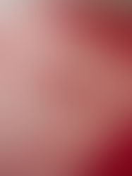 Mexico’s Economic Analysis (1982-2018)