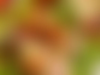 Loaded Spanish Tapa Salad