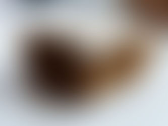 Vegan Frosted Apple Cinnamon Blondies