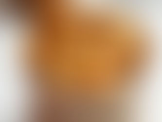 Pumpkin Cheesecake Protein Ice Cream