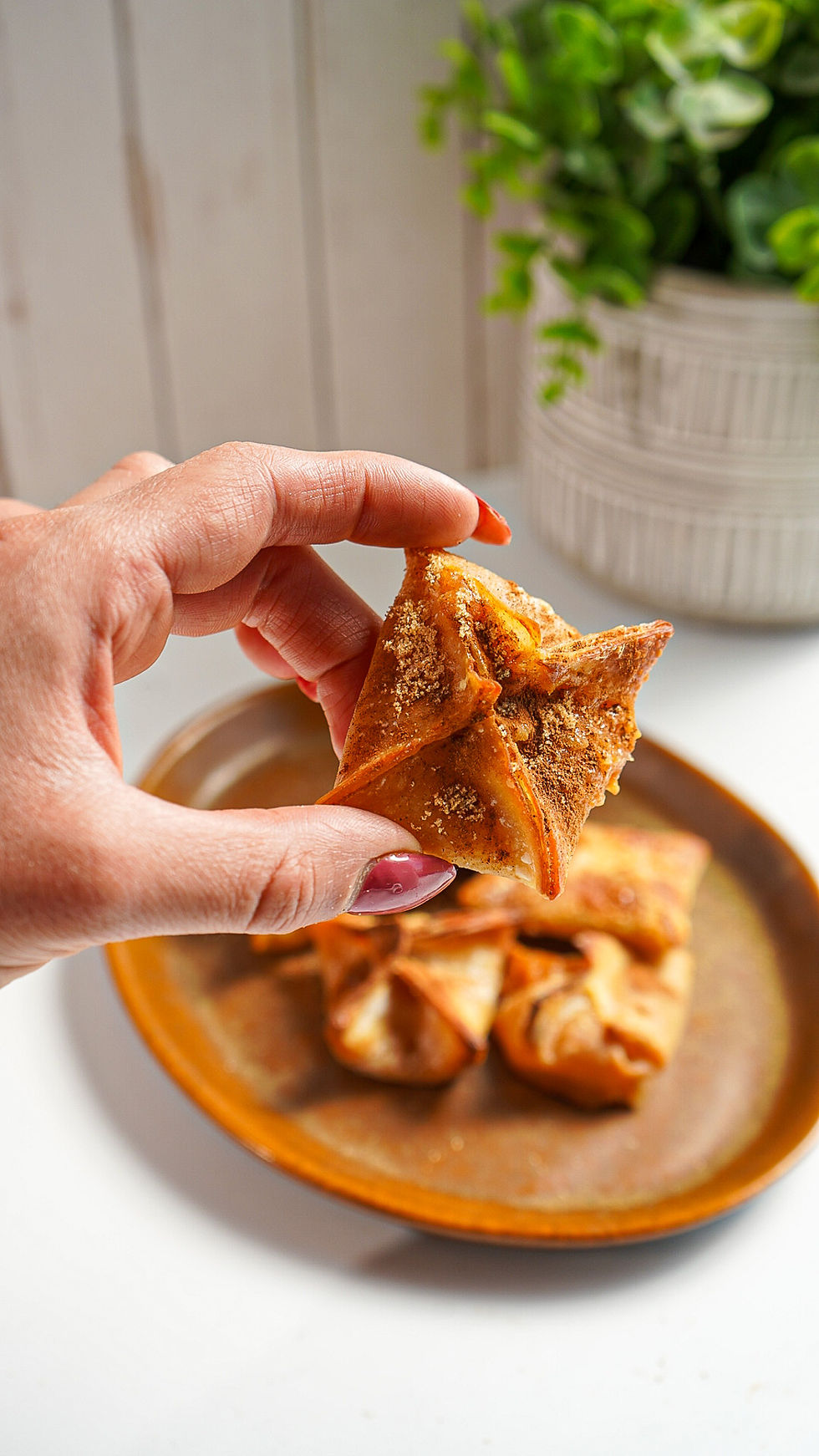 Apple Horchata Cheesecake Wontons