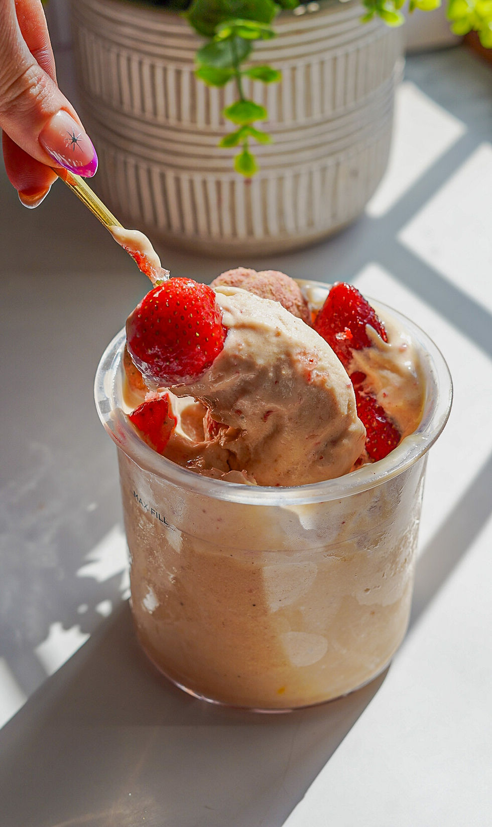 Strawberry & Cream Cookie Protein Ice Cream