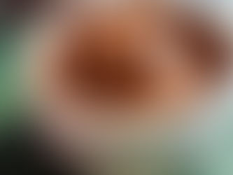 Chocolate Cottage Cheese Pudding