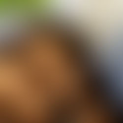 Strawberry Créme Brûlée Protein Cookies