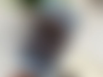 Cookie Monster Popsicles