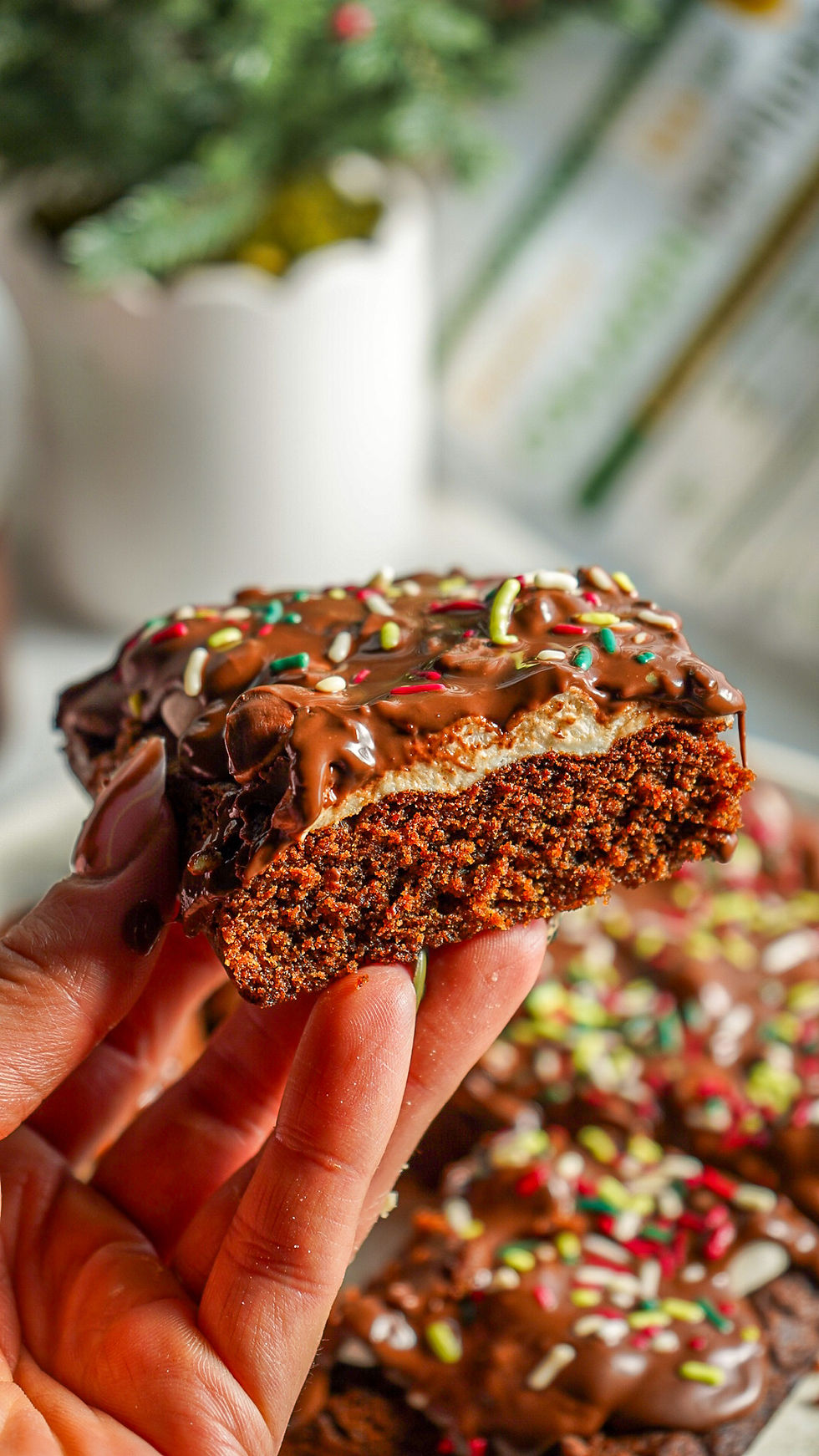 White Chocolate Peanut Sugar Cookie S’mores Blondies