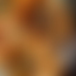 Barbacoa Cheese Tarts