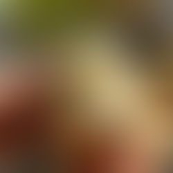 Pistachio Vanilla Puff Pastry Rolls