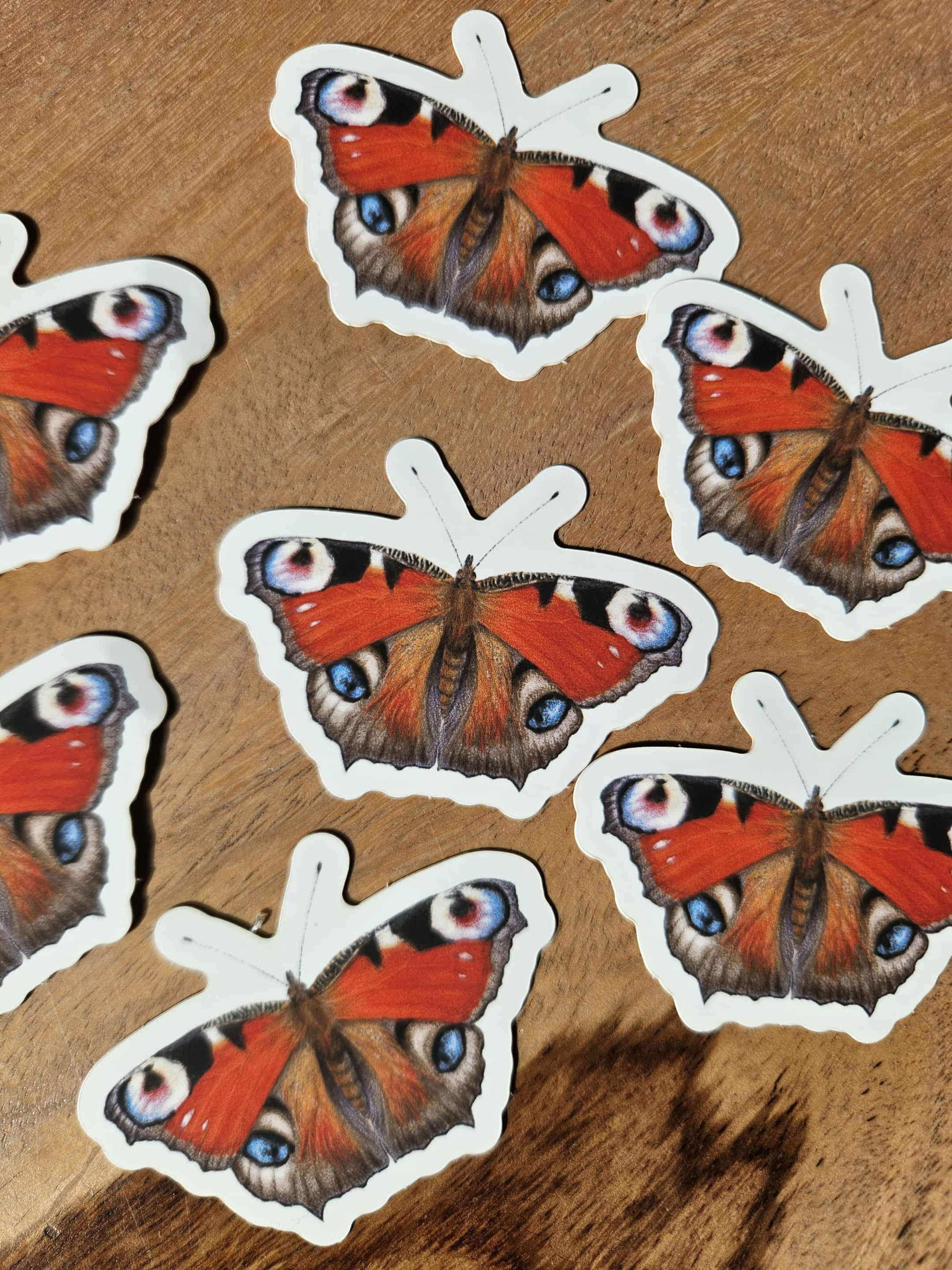 Paon du jour - Autocollant 6 cm