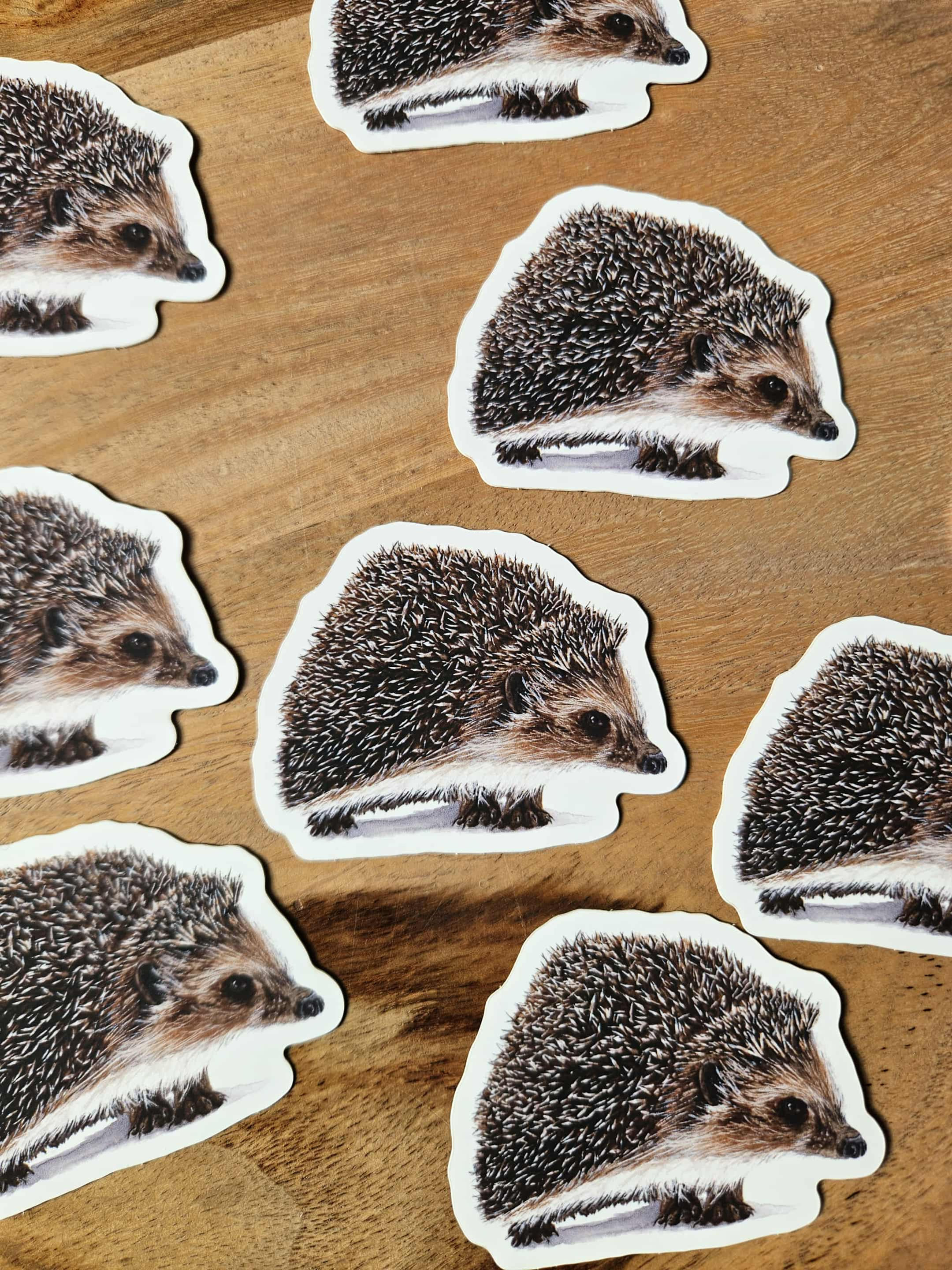 Hérisson - Autocollant 7 cm