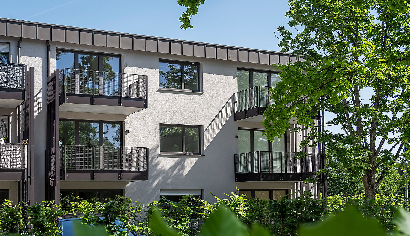 MFH 1905 - Ansicht Balkon Innen.jpg