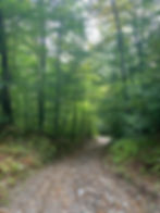 Vermont Yoga Festival - The Enchanted Woods at OM Festival