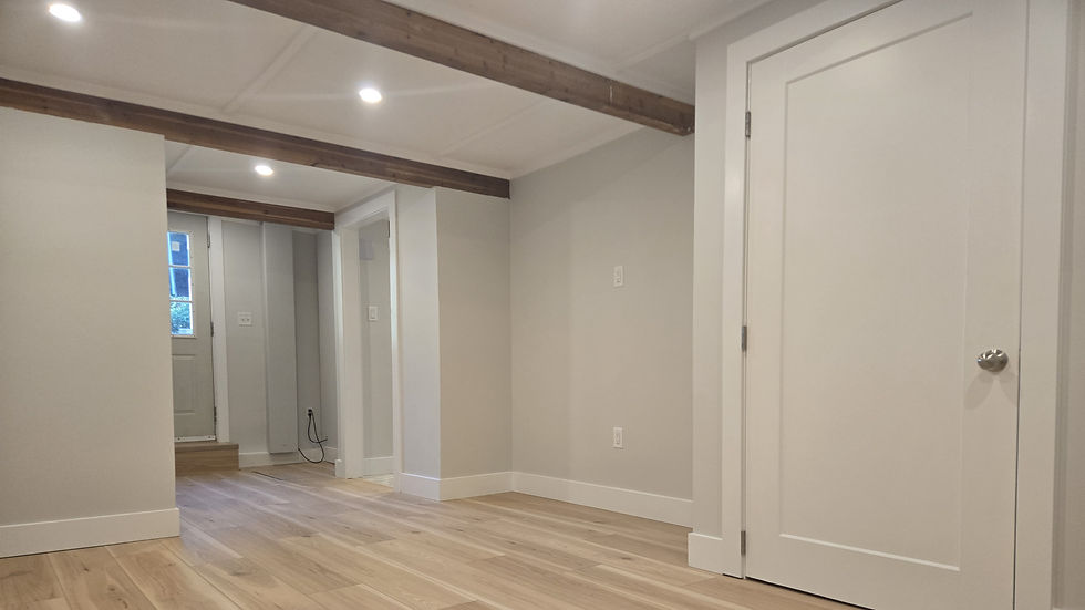 basement picture new_edited.jpg