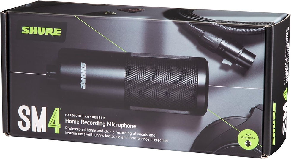 Thumbnail: Shure SM4 Home Recording Microphone