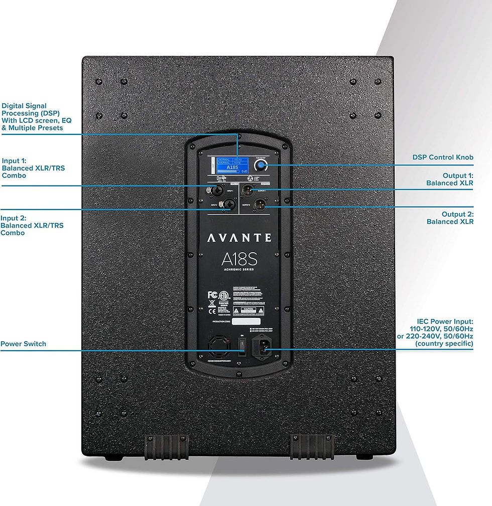 Thumbnail: Avante Audio A18S Speaker