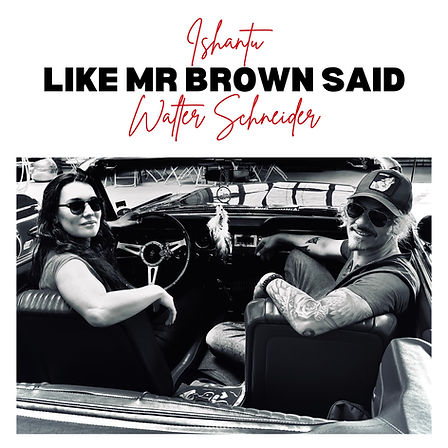 Cover LIKE MR. BROWN SAID.jpg